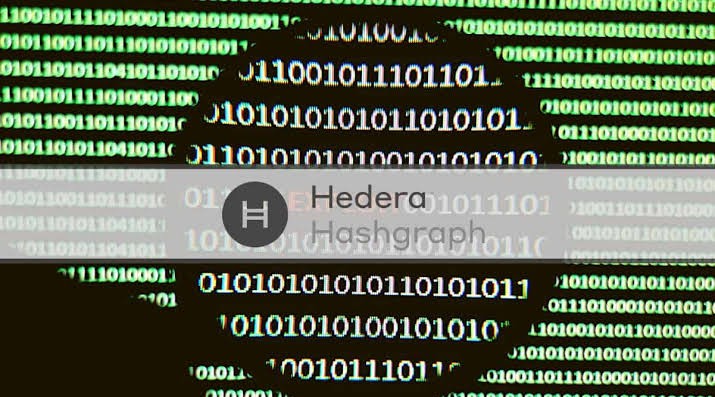 Hedera Blockchain Publishes Exploit Report 